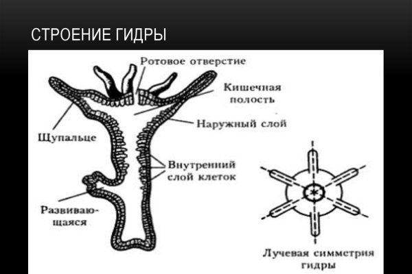 Как попасть на сайт кракен