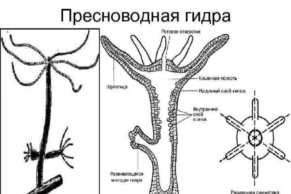 Кракен зеркала официальные