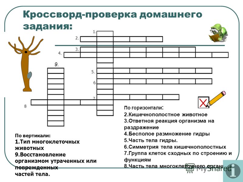 Кракен ссылка тор kr2web in